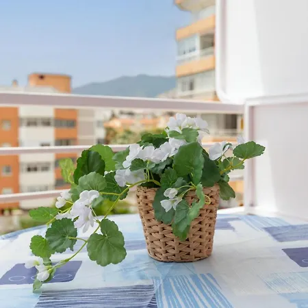 Appartement Saltillo Sol *